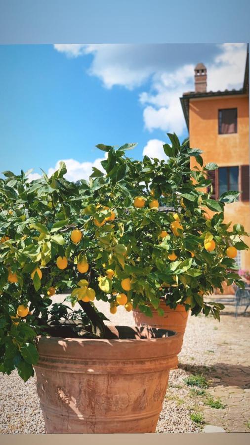 Гостьовий будинок Fattoria Di Catignano San Giovanni  Екстер'єр фото