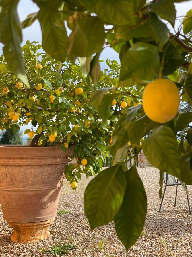 Гостьовий будинок Fattoria Di Catignano San Giovanni  Екстер'єр фото